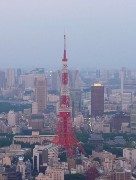 837  Tokyo Tower.JPG